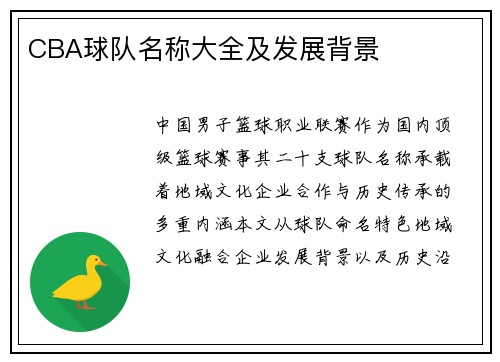 CBA球队名称大全及发展背景