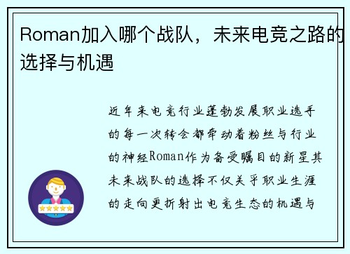 Roman加入哪个战队，未来电竞之路的选择与机遇