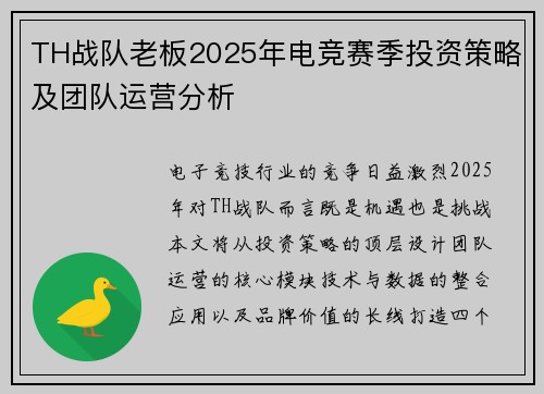 TH战队老板2025年电竞赛季投资策略及团队运营分析